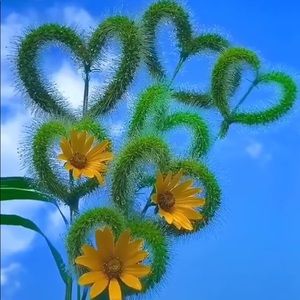 A long awaited trade ✨Gina✨